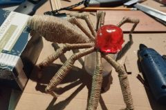 Grosse-Spinne-2025-02
