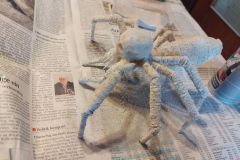 Grosse-Spinne-2025-05