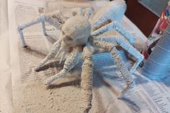 Grosse-Spinne-2025-06