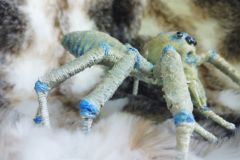 Grosse-Spinne-2025-10