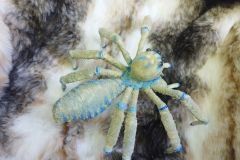 Grosse-Spinne-2025-12