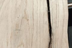 Talharpa-Eichenholz-2024-10