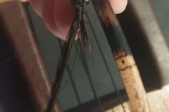 Talharpa-Kirschholz-2025-11