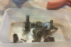 Talharpa-Kirschholz-2025-13