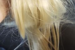 Talharpa-Kirschholz-2025-28