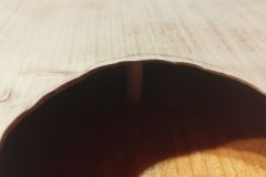 Talharpa-Kirschholz-2025-29