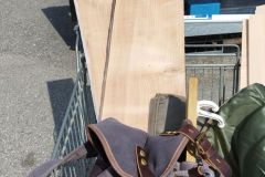 Talharpa-Kirschholz-2025-36